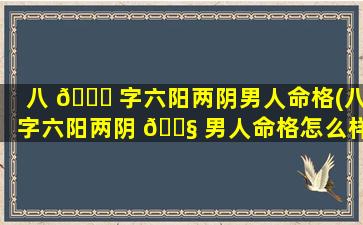 八 🐈 字六阳两阴男人命格(八字六阳两阴 🐧 男人命格怎么样)